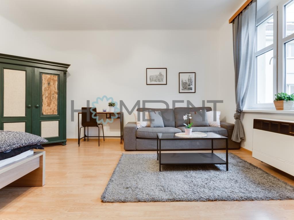 Pronájem bytu 1+1 45 m2