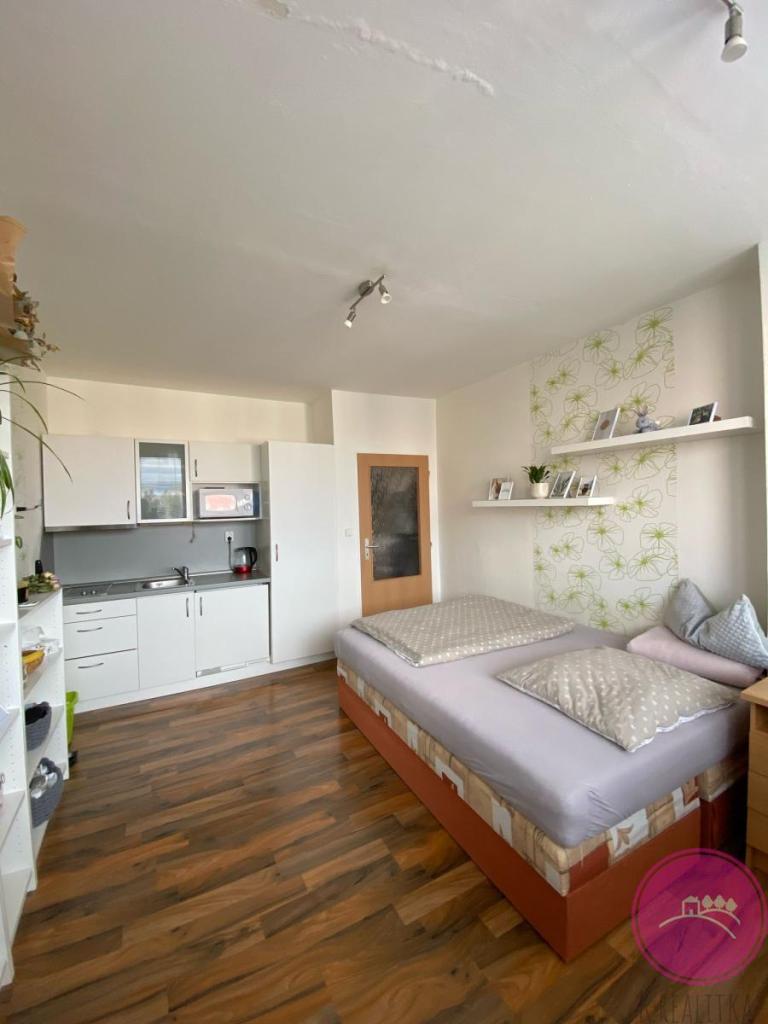 Pronájem bytu 1+kk 30 m2