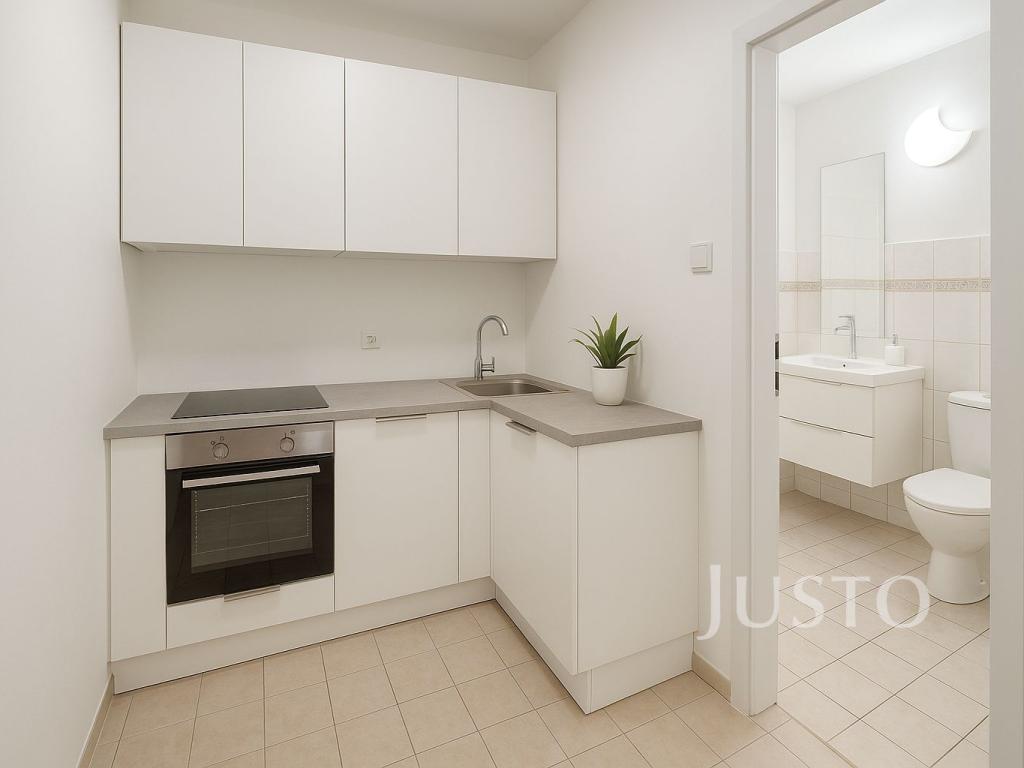 Pronájem bytu 1+1 30 m2