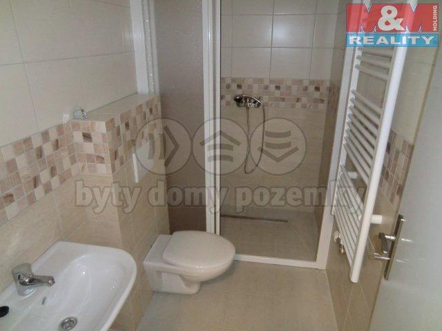 Pronajem bytu 2+kk 55 m2