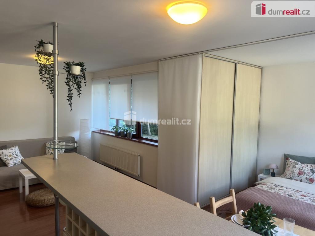 Pronájem bytu 1+kk 48 m2