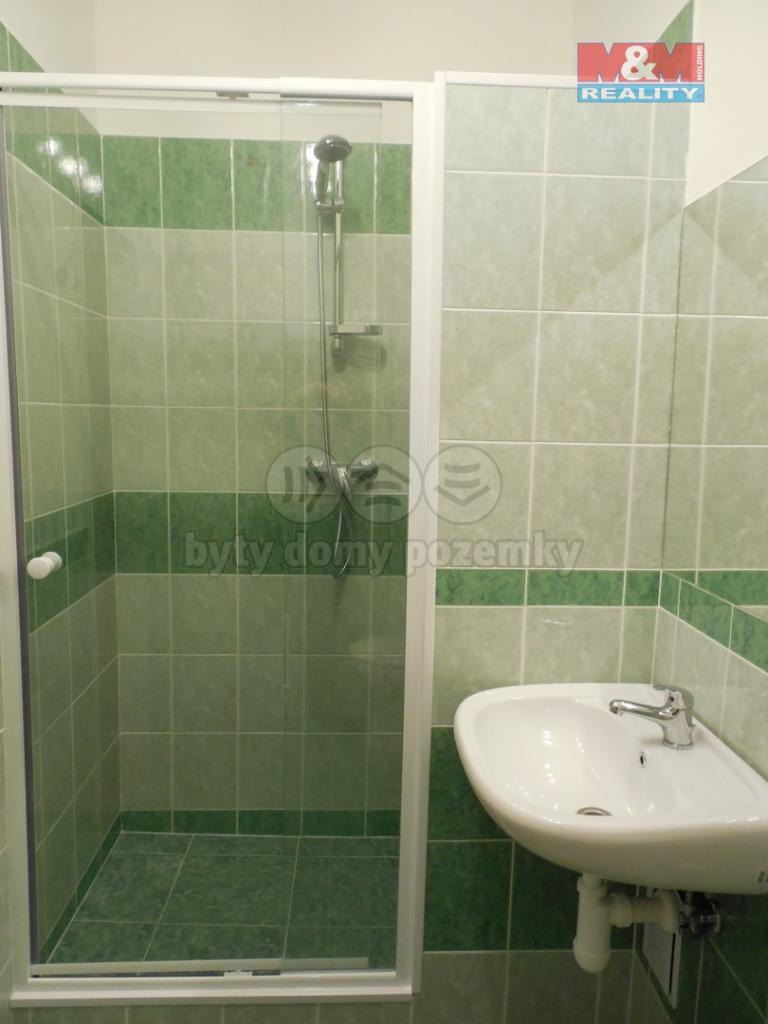 Pronajem bytu 2+kk 38 m2