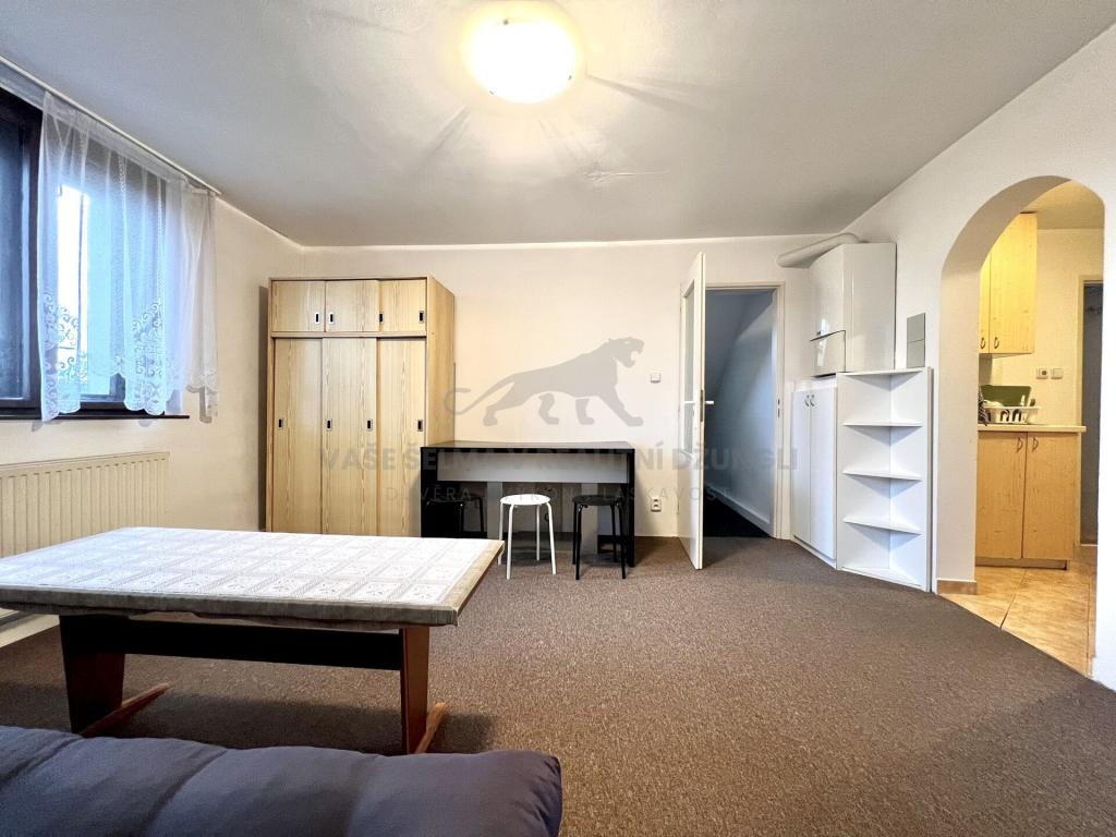Pronájem bytu 3+1 42 m2