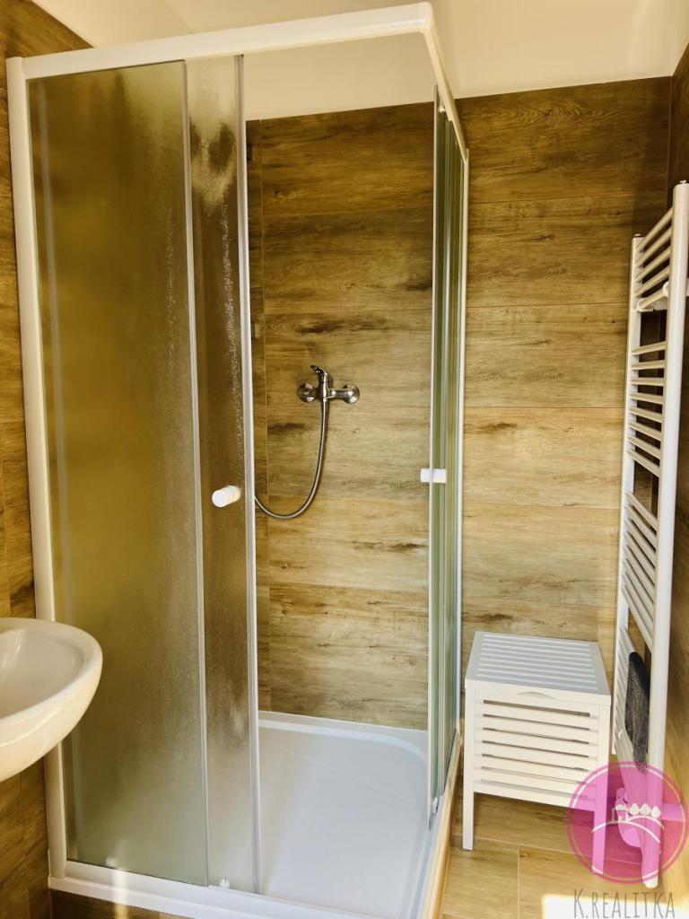 Pronájem bytu 1+kk 40 m2