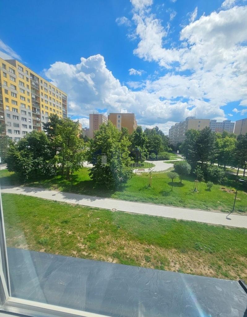 Pronájem bytu 2+kk 55 m2, Praha – náhled fotky 13