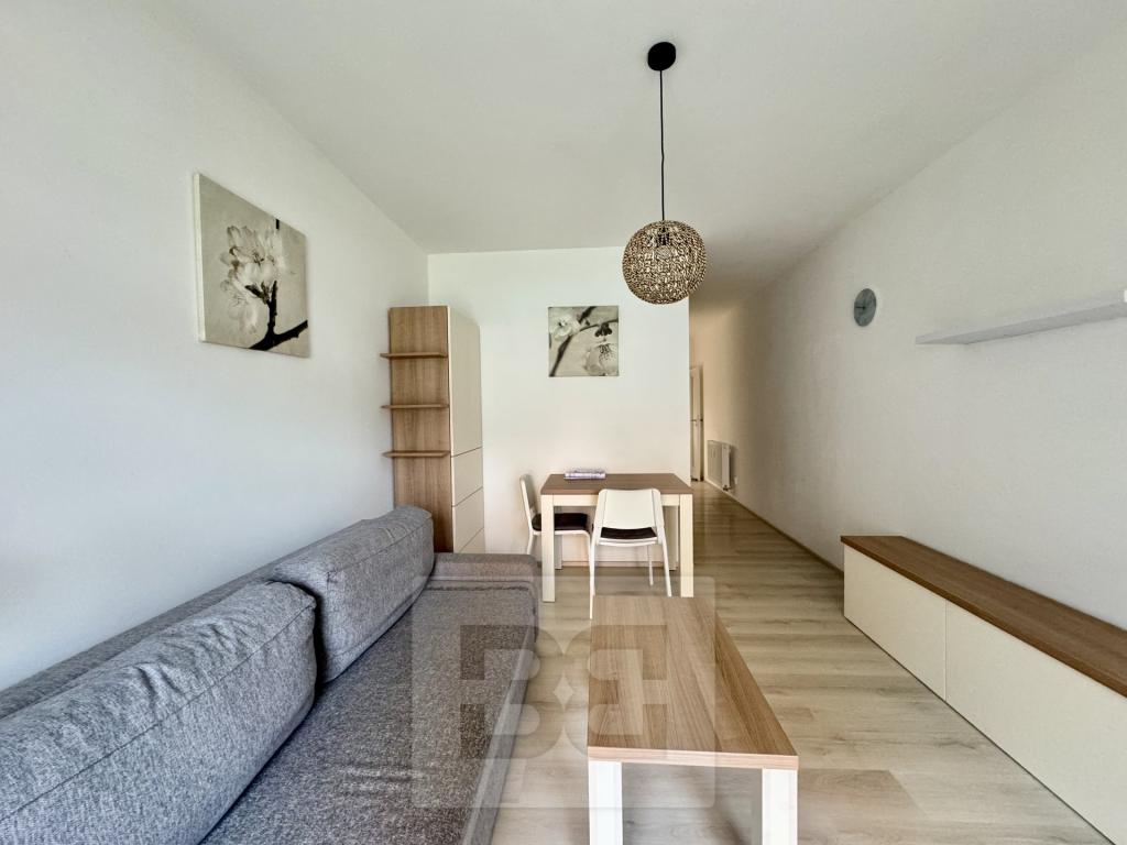 Pronájem bytu 1+kk 40 m2