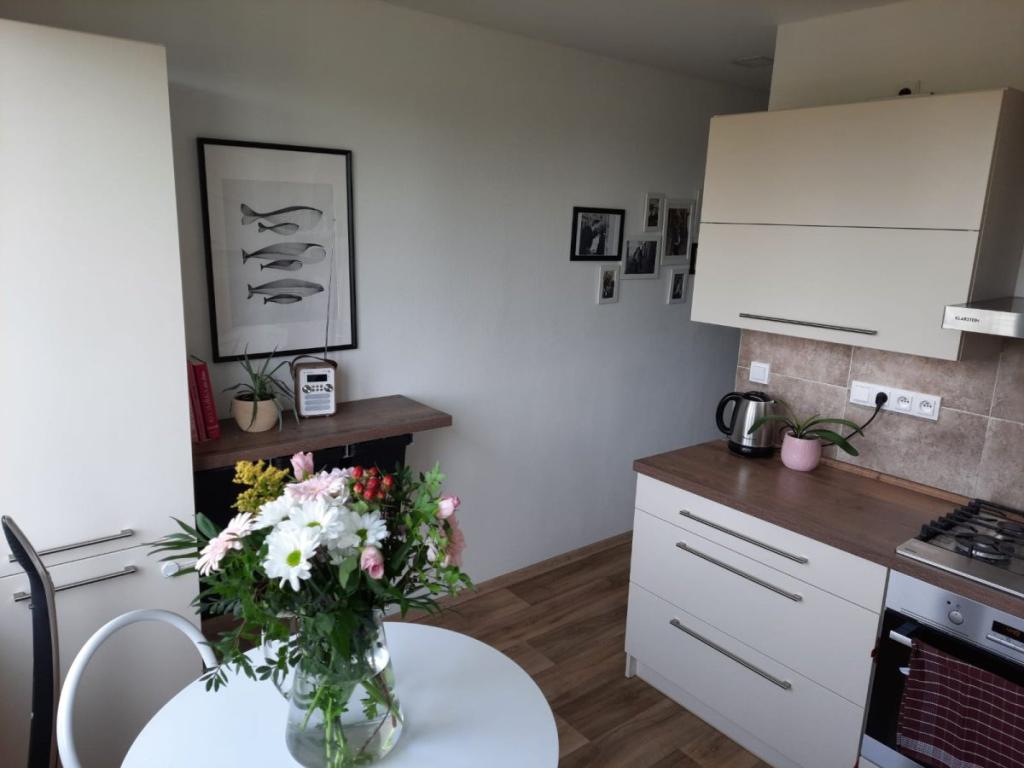 Pronájem bytu 2+1 62 m2