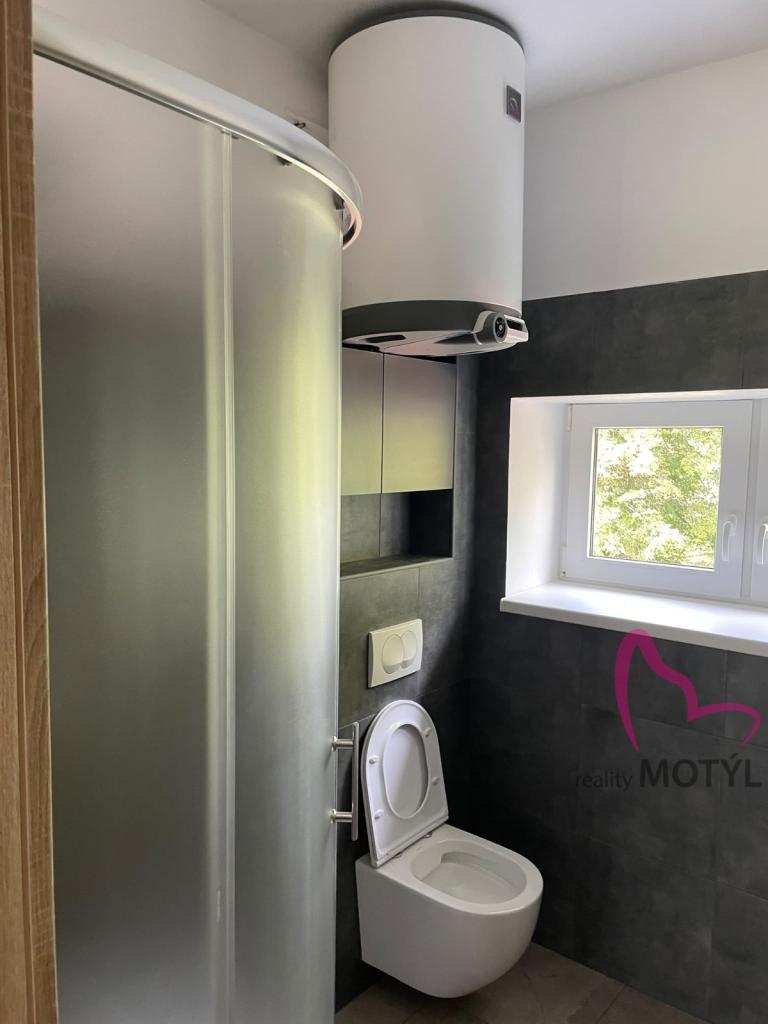Pronájem bytu 1+1 38 m2