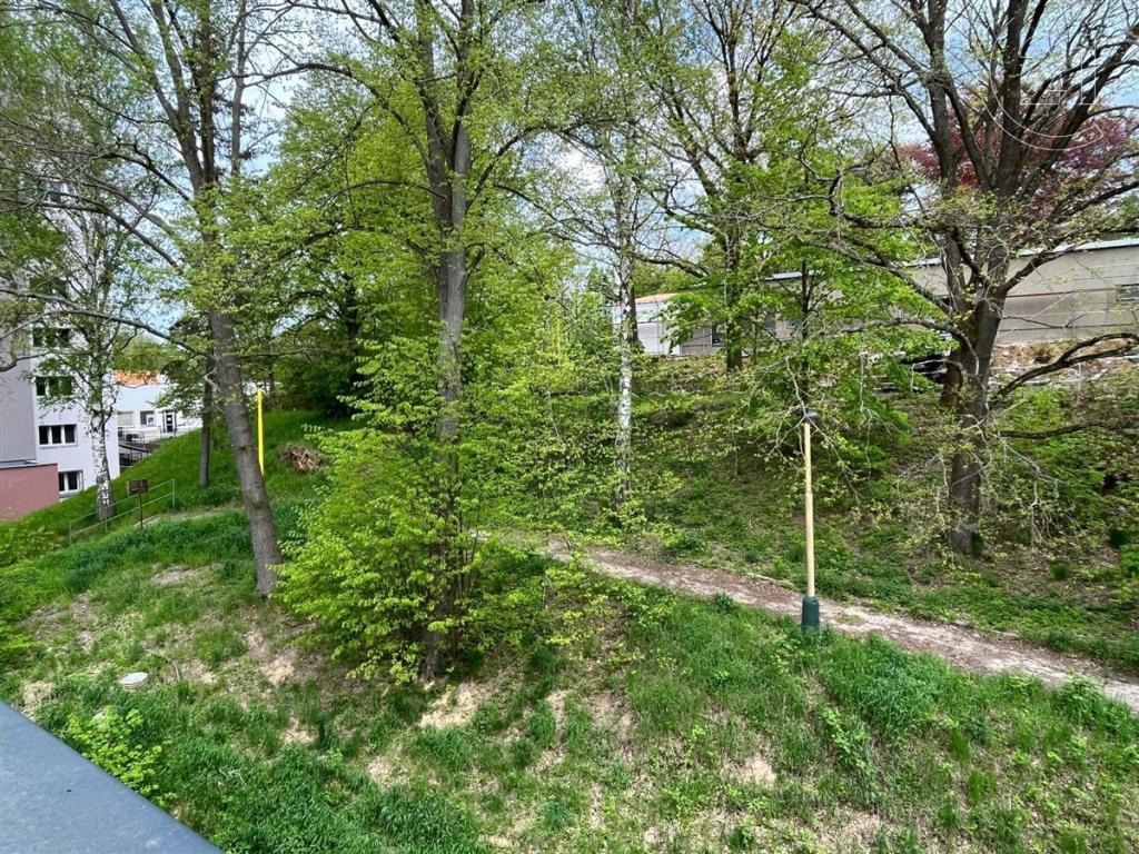 Pronájem bytu 2+1 50 m2