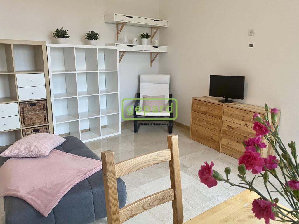 Pronájem bytu 1+kk 34 m2