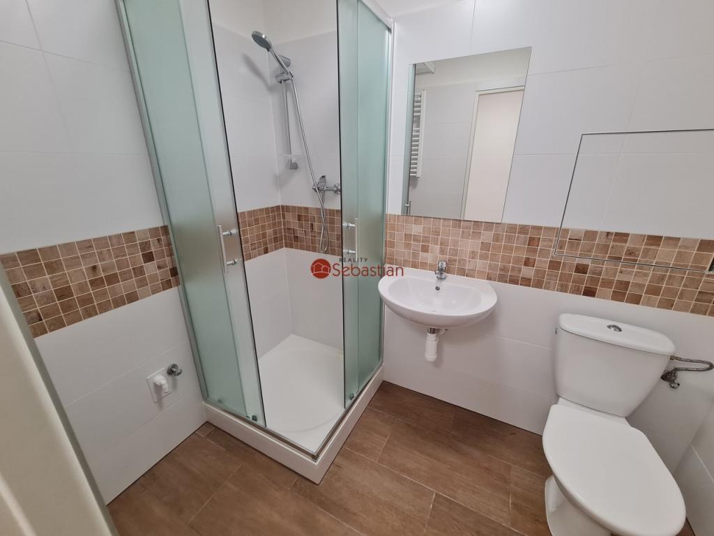 Pronájem bytu 1+1 36 m2