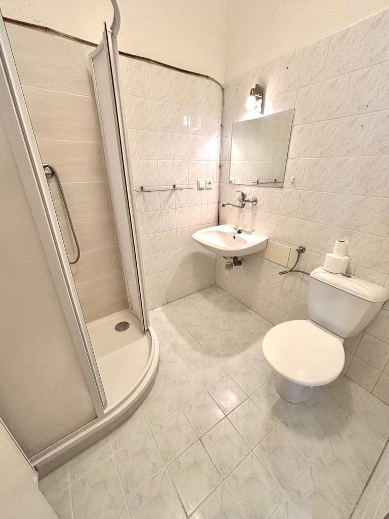 Pronájem bytu 1+kk 50 m² – další