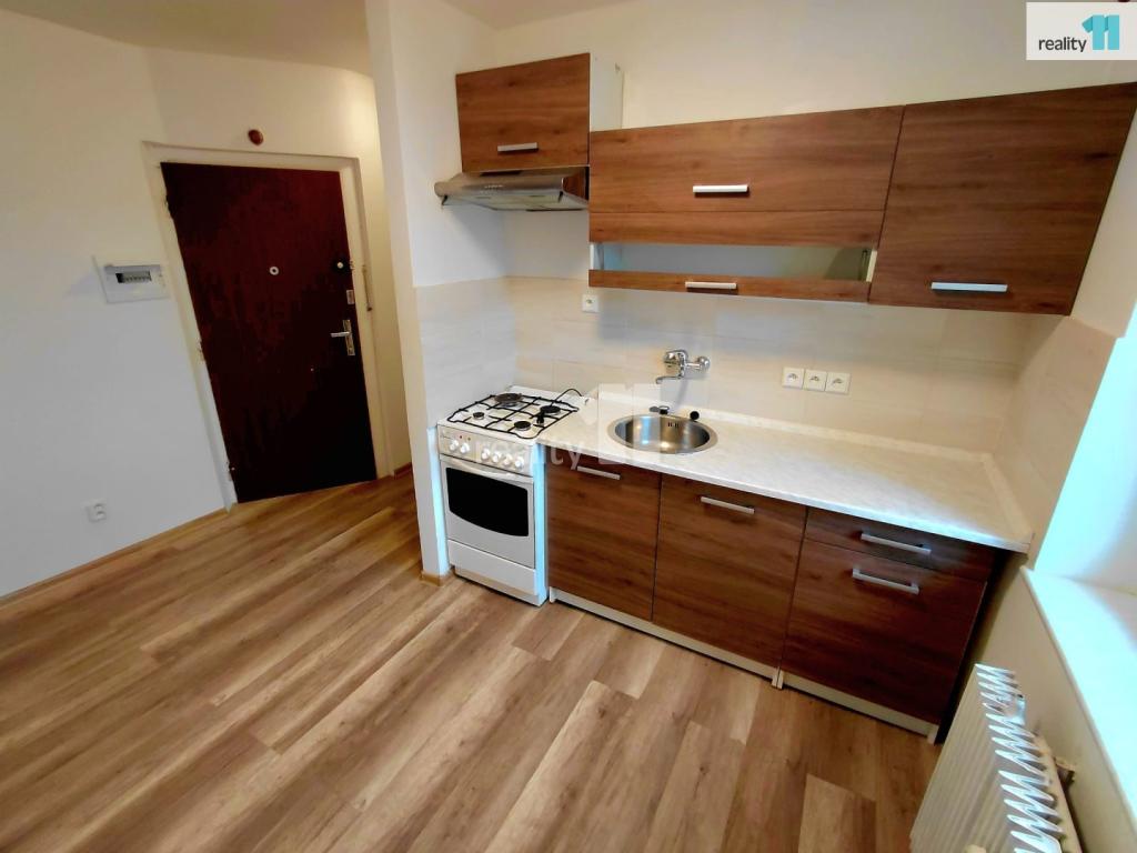 Pronájem bytu 2+1 54 m2