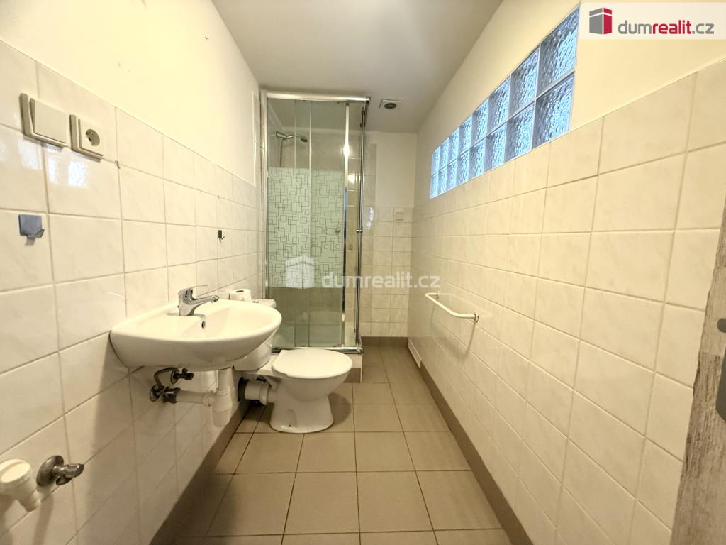 Pronájem bytu 1+1 40 m2