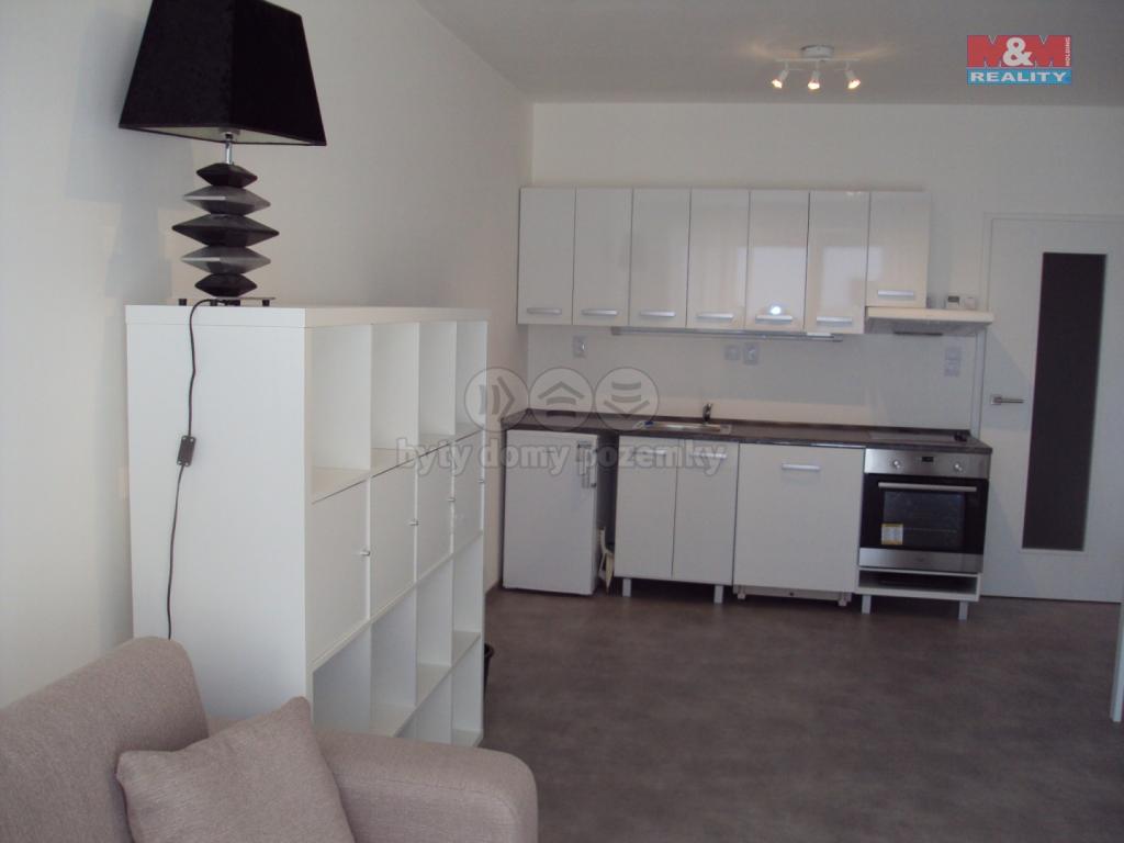 Pronajem bytu 1+kk 82 m2