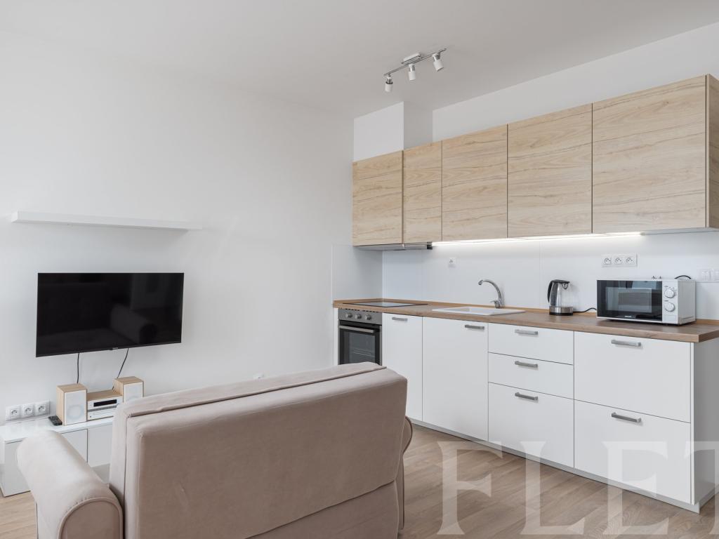 Pronájem bytu 1+kk 40 m2
