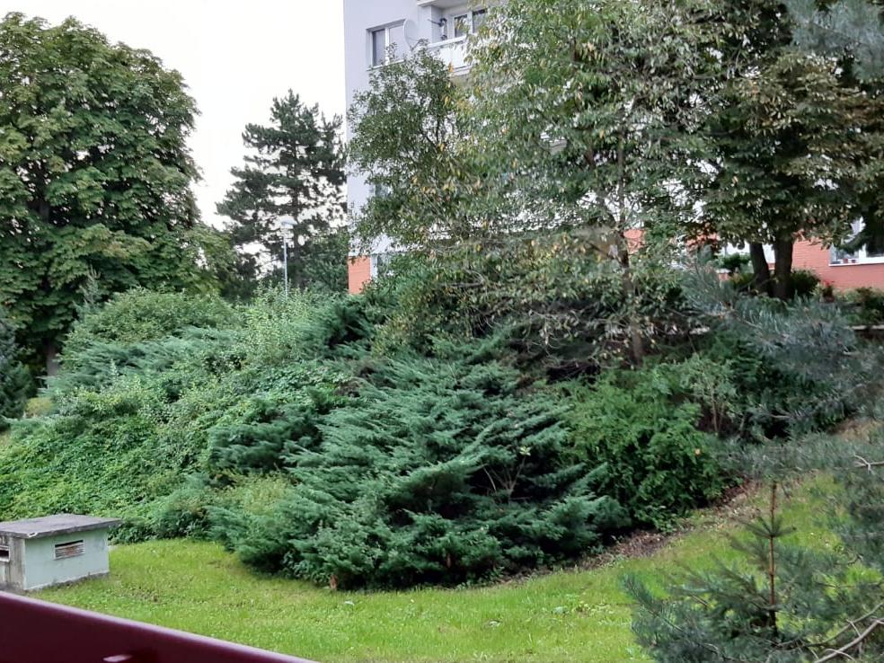 Pronájem bytu 2+1 56 m2