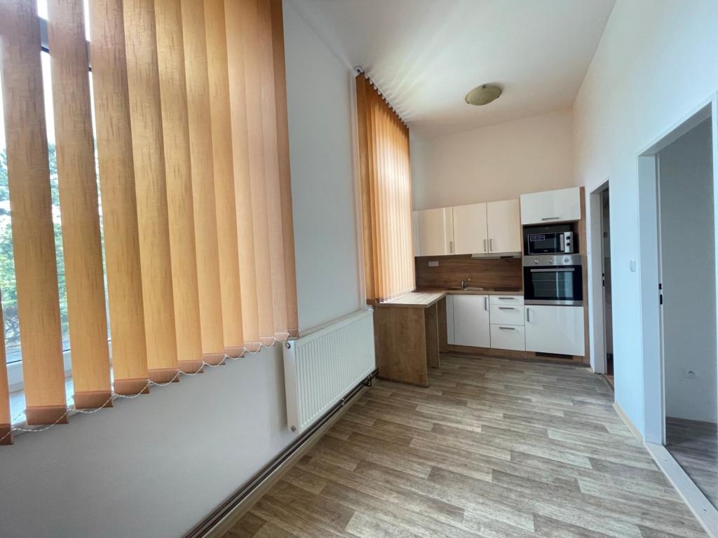 Pronájem bytu 1+kk 24 m2