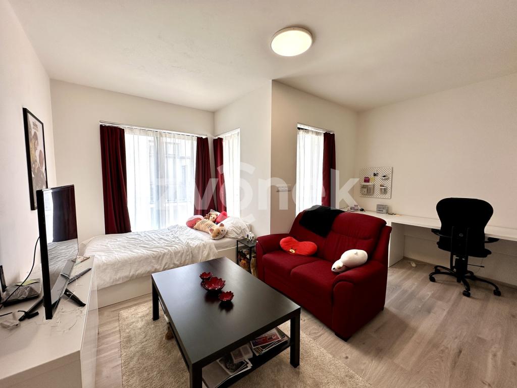 Pronájem bytu 1+kk 33 m2