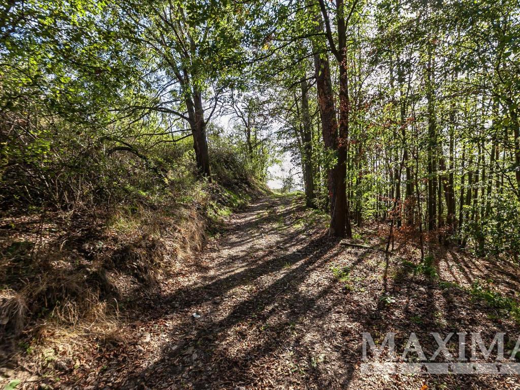 Prodej pozemku 7462 m2, Solenice – náhled fotky 19