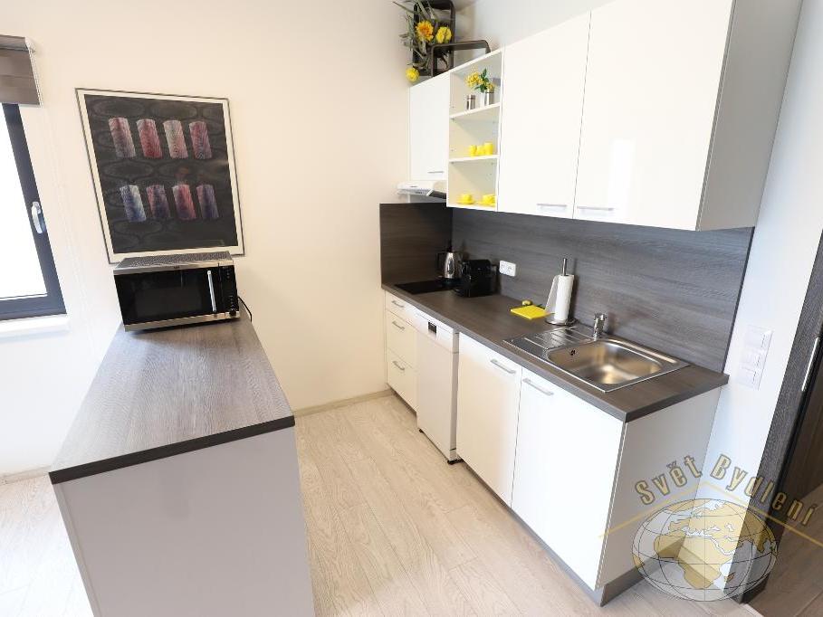 Pronájem bytu 1+kk 40 m2