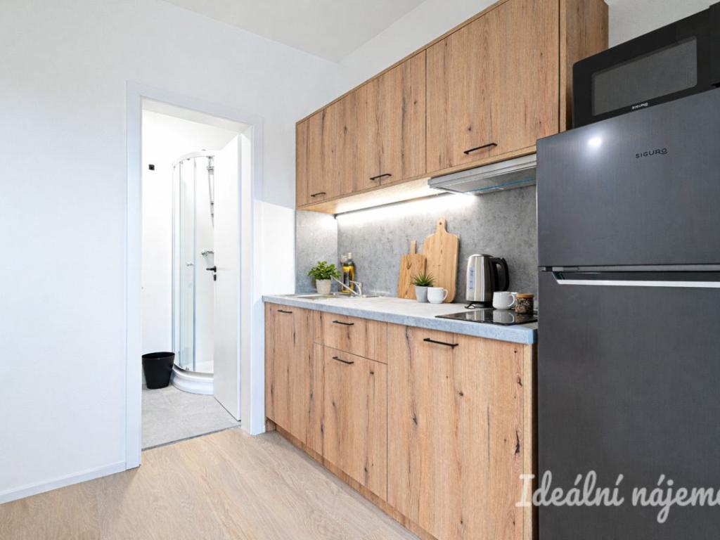 Pronájem bytu 1+1 25 m2