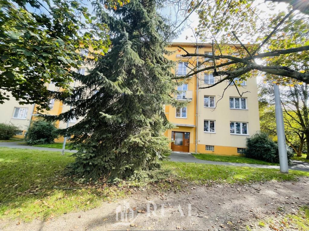 Prodej bytu 2+1 52 m2, Teplice – náhled fotky 13