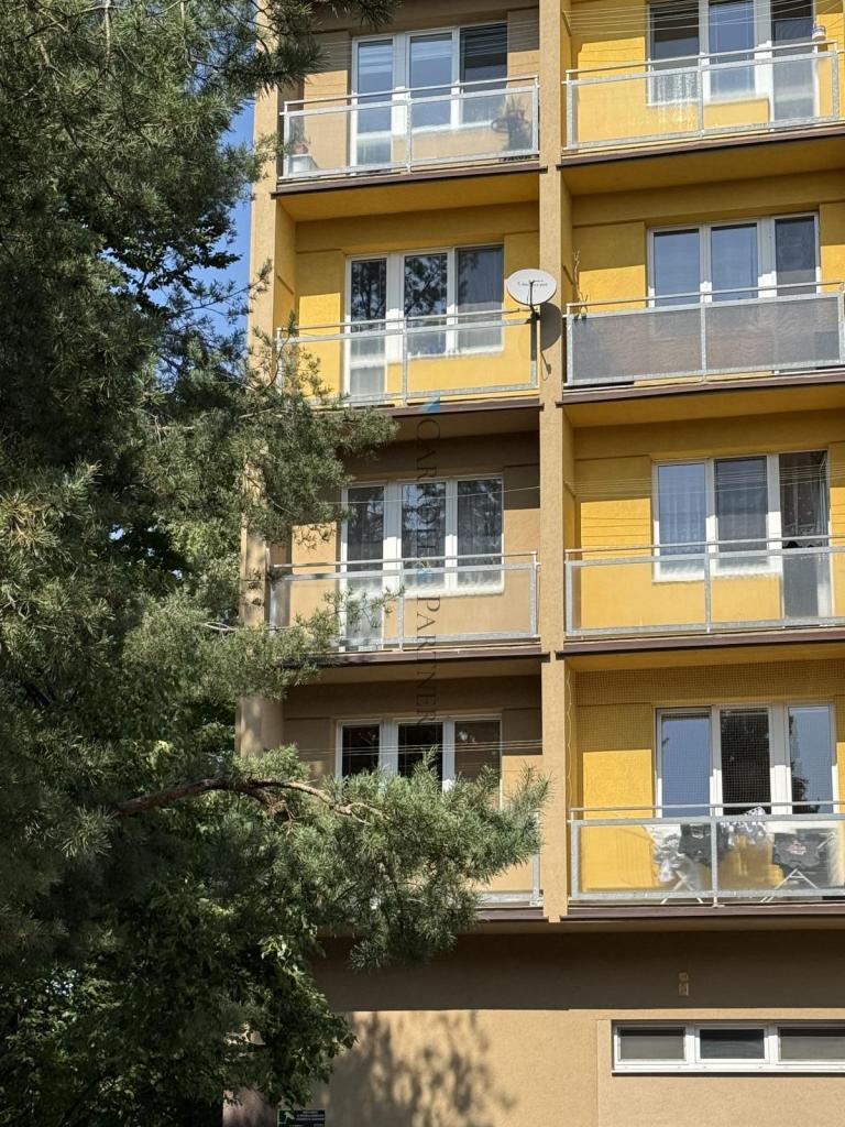 Pronájem bytu 2+1 53 m2, Ostrava – náhled fotky 13
