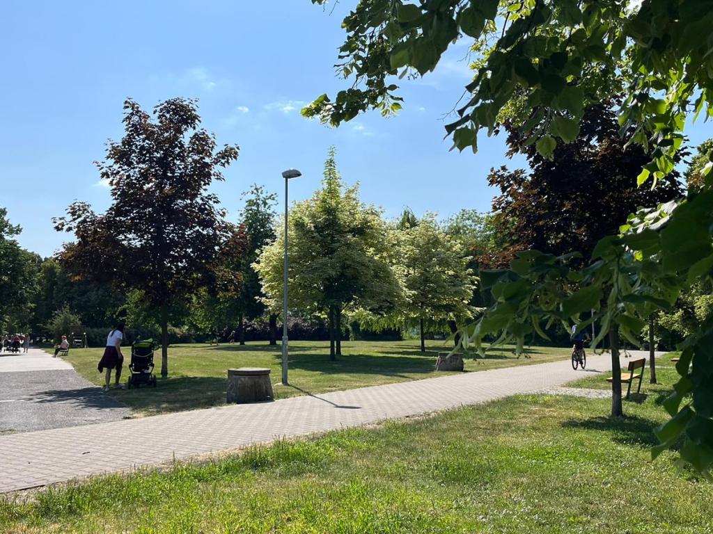Pronajem bytu 1+kk 2 m2