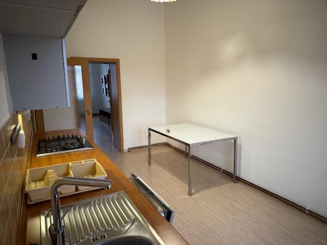 Pronájem bytu 1+1 45 m2