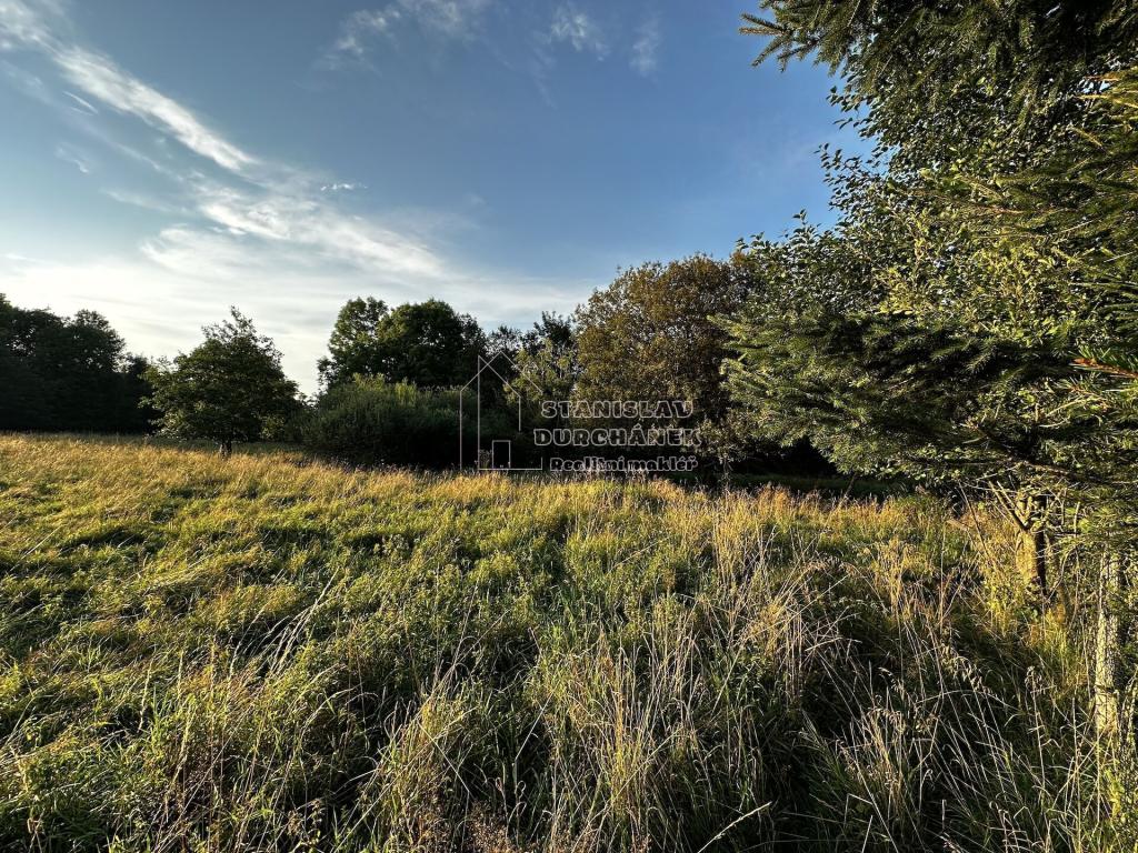 Prodej pozemku 4929 m2, Nová Ves – náhled fotky 6