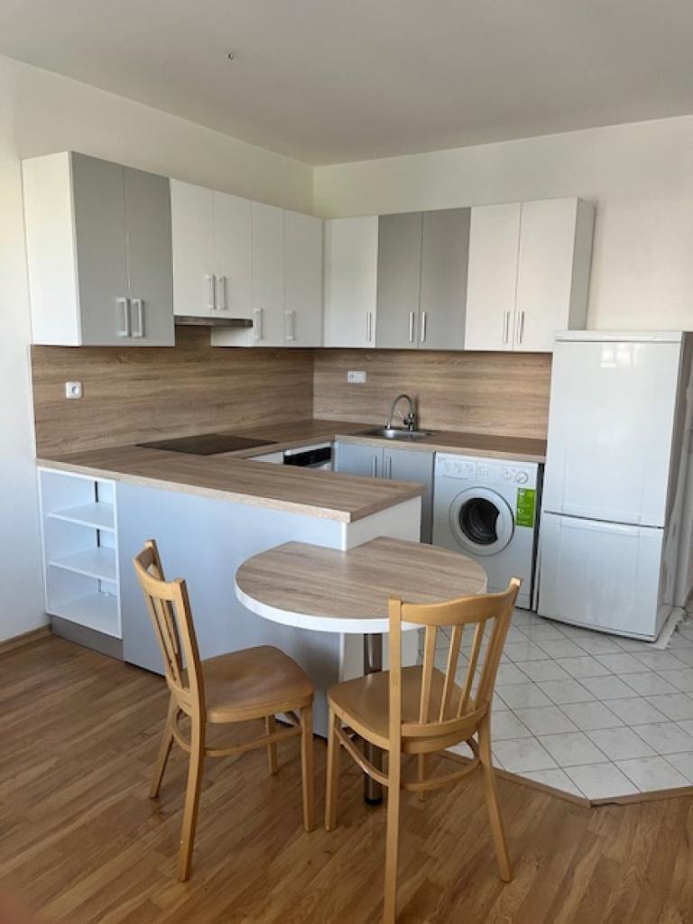 Pronájem bytu 1+1 46 m2
