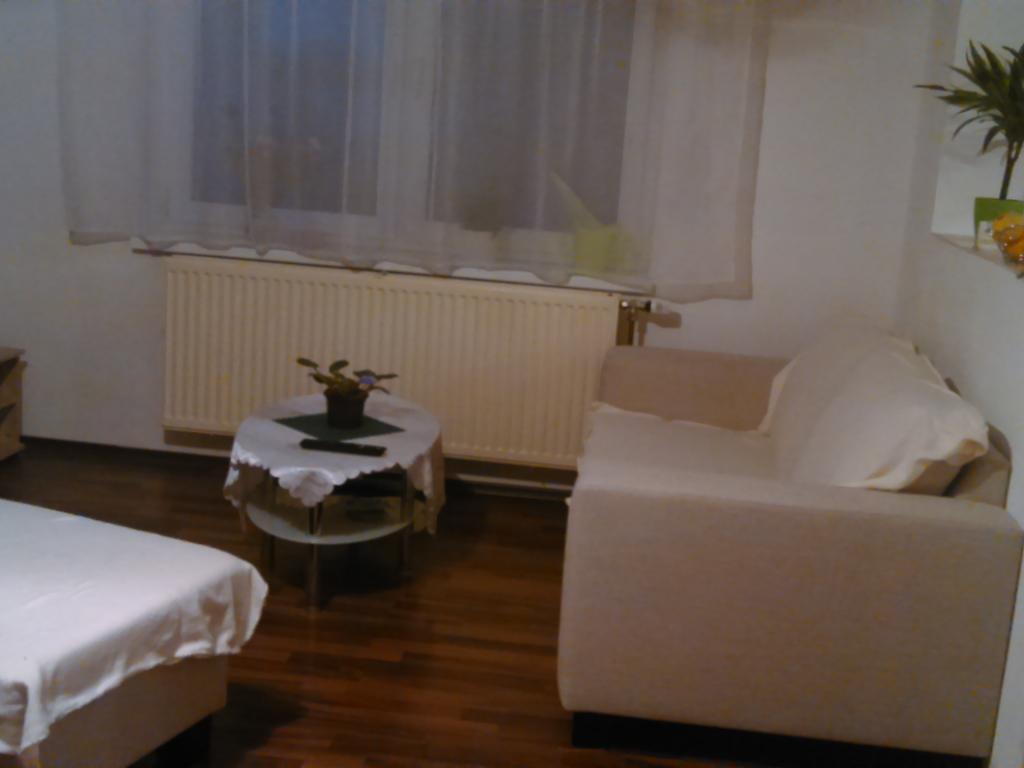 Spolubydleni bytu celý pokoj 18 m2