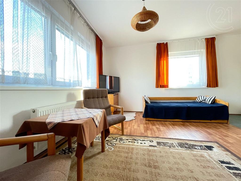 Pronájem bytu 1+kk 43 m2