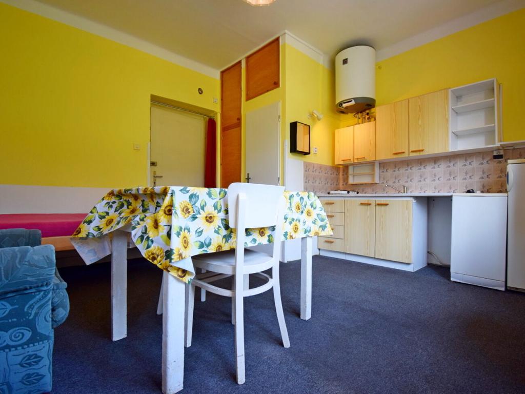 Pronájem bytu 1+kk 20 m2