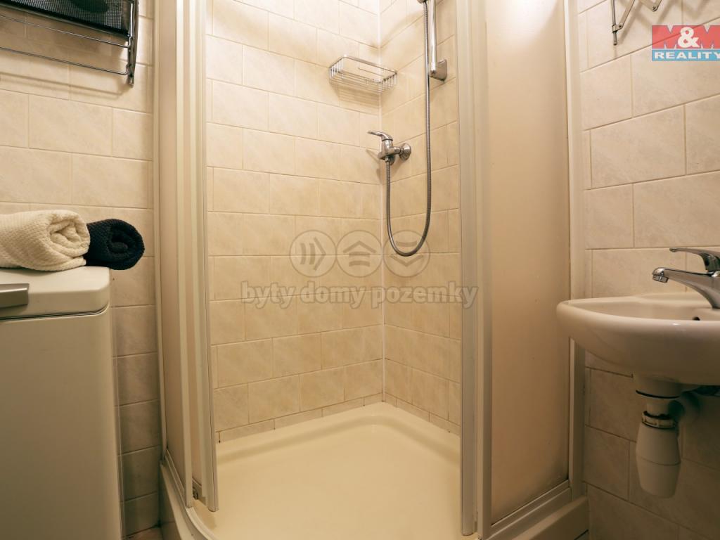 Pronajem bytu 2+1 52 m2