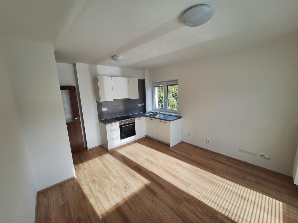 Pronájem bytu 2+kk 48 m2, Přáslavice – náhled fotky 2