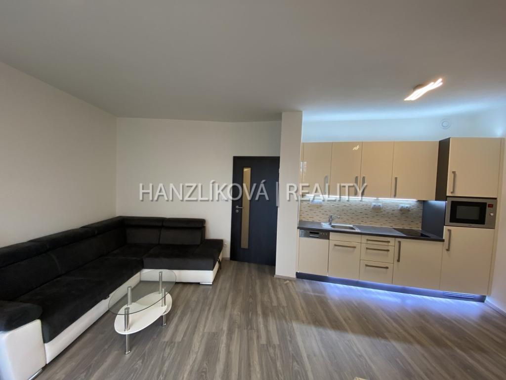 Pronájem bytu 1+kk 42 m2