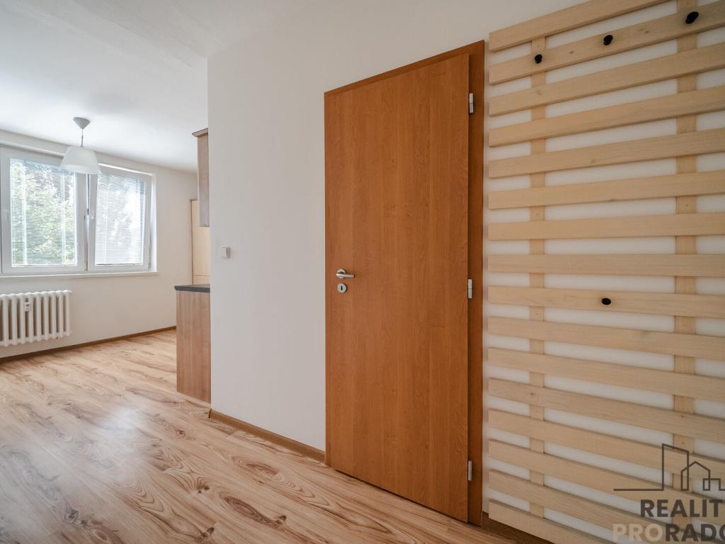 Pronájem bytu 1+1 38 m2