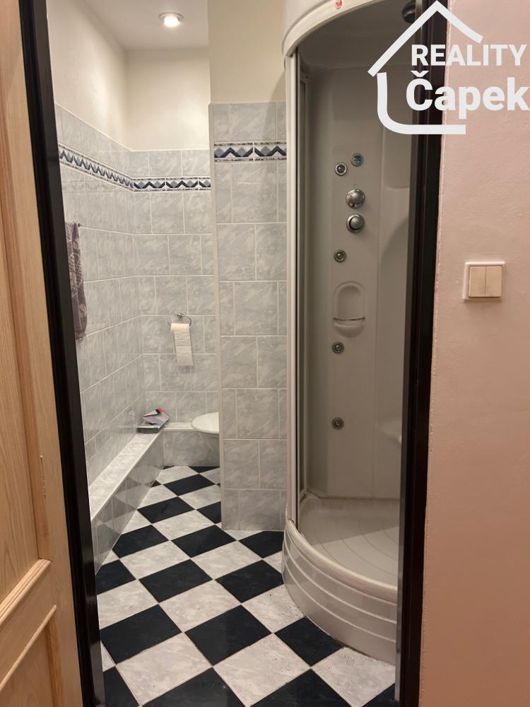 Pronájem bytu 1+1 37 m2