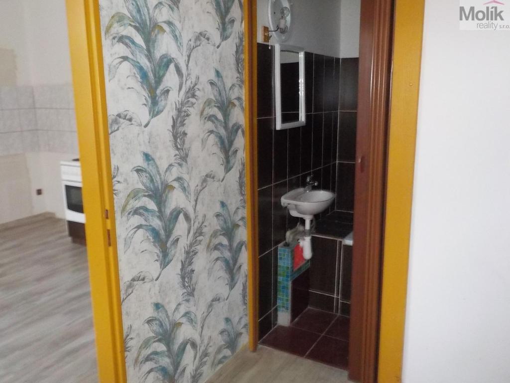 Pronájem bytu 1+1 45 m2