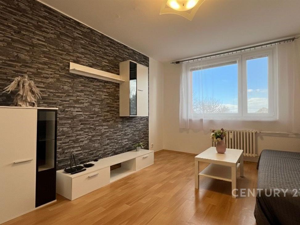 Pronájem bytu 2+1 54 m2