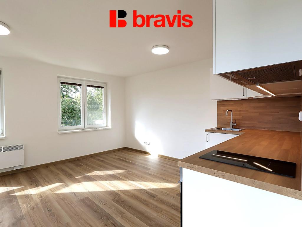1+kk Apartment in Brno - View 2