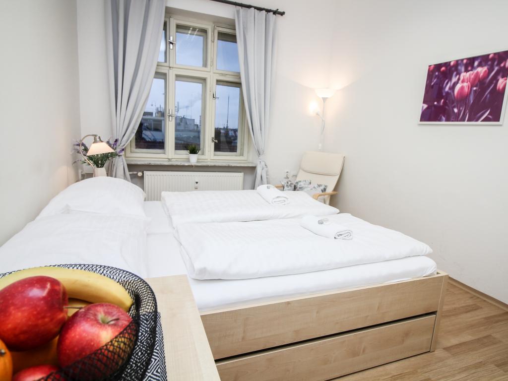 Spolubydleni bytu celý pokoj 45 m2