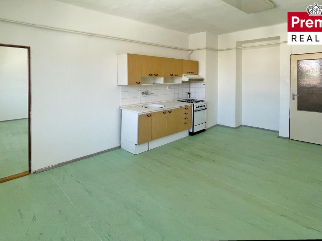 Pronájem bytu 1+1 52 m² – další