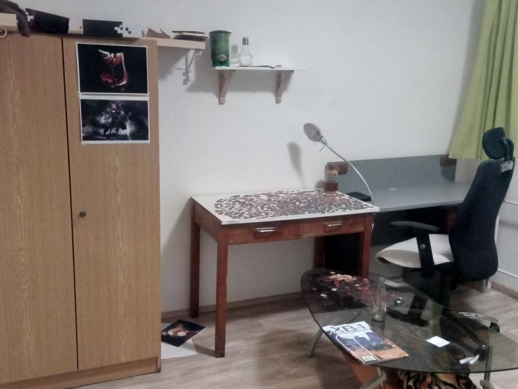 Pronajem bytu celý pokoj 12 m2