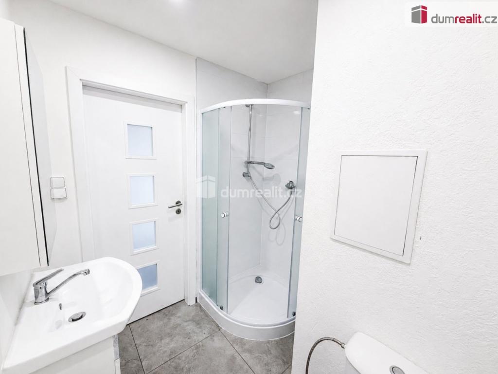 Pronájem bytu 1+1 36 m2
