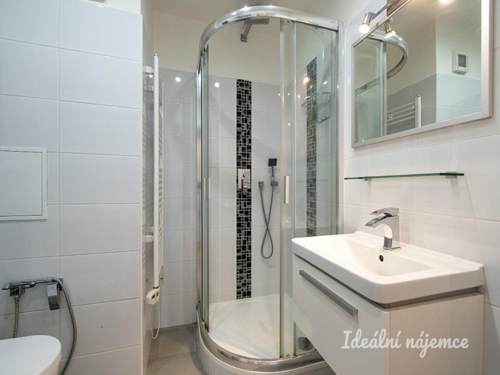 Pronájem bytu 1+kk 35 m2