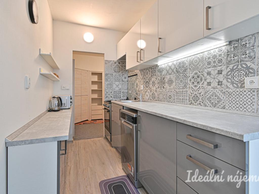 Pronájem bytu 2+1 50 m2