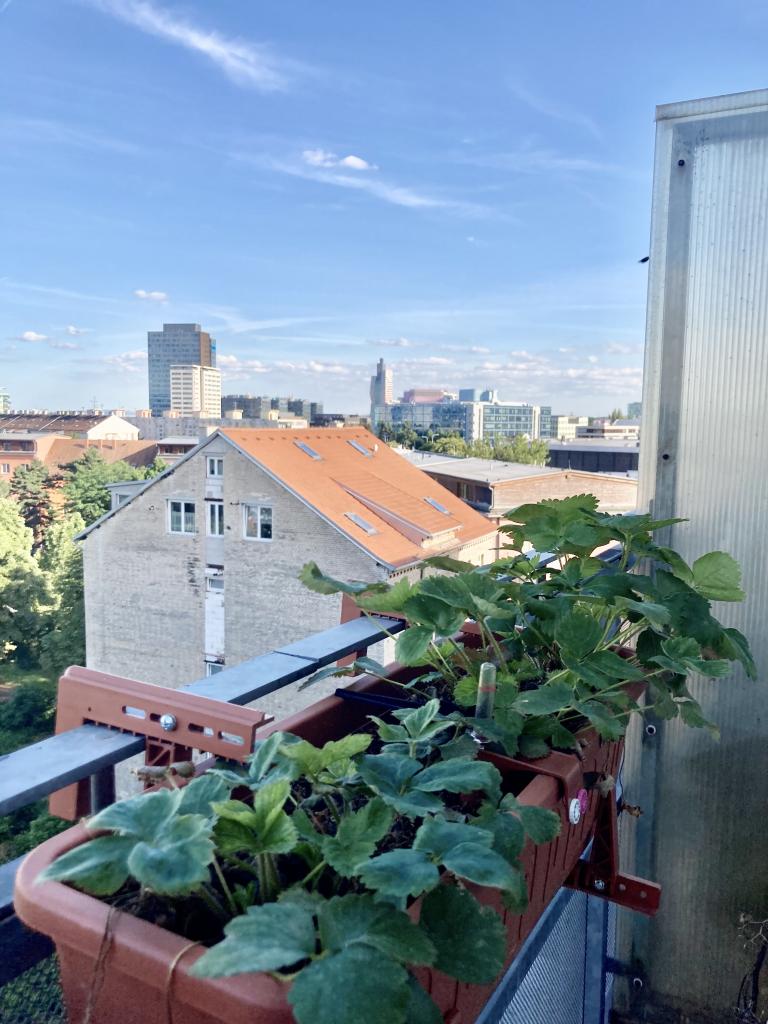 Pronajem bytu 2+kk 54 m2